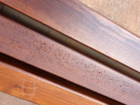 Vyt�kaj�c� sm�la z nov�ch prken