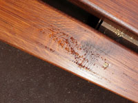 Vyt�kaj�c� sm�la z nov�ch prken