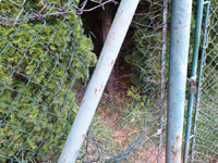 Plot na dvorci �.6