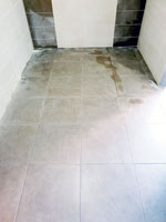 Polo�en� dla�eb