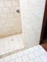 P�vodn� dla�by