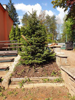 Nov� strom na centr�ln�m dvorci