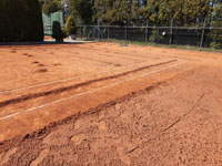 Stahov�n� star� antuky