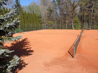 P�ipraven� dvorce na hru