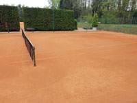 P�ipraven� dvorce na hru