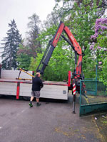 Skl�d�n� pytlovan� antuky