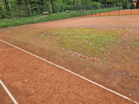 Pohled na dvorce po zim�