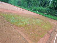 Pohled na dvorce po zim�