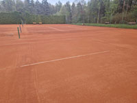 Ren� Halapatsch p�i �prav� dvorc�