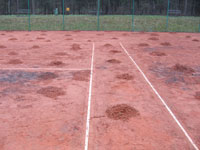 Stahov�n� star� antuky