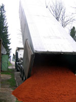 Vykl�p�n� antuky