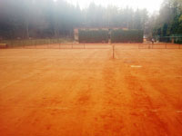 Jarn� �prava dvorc�