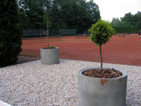 Kone�n� v�sledek