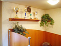 Poli�ky na poh�ry