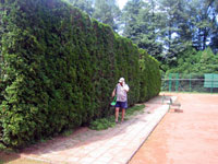 N�pov�da p�es telefon