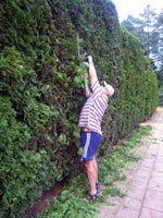 ... a tak� naho�e