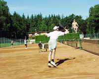 Tenisov boje
