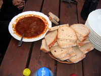 Ve�ern� gul�ek