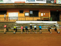 Z�b�ry z rozcvi�en�