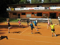 Z�b�ry z rozcvi�en�