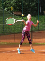 ��astn�ci soust�ed�n� :  S�ra Wilkov�