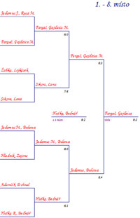 Finlov pavouk turnaje Rubicon Moravia Cup