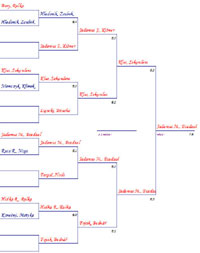 Finlov pavouk turnaje Rubicon Moravia Cup
