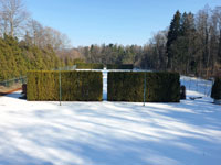 Zimní pohled na dvorce