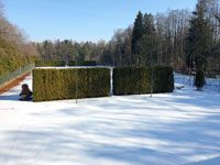 Zimní pohled na dvorce