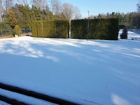 Zimní pohled na centrální dvorec