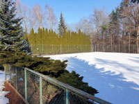 Zimní pohled na zadní dvorce