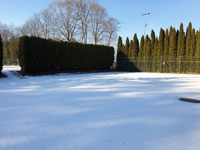 Zimní pohled na zadní dvorce