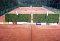 Pohled na arel ze stechy budovy