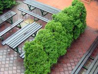 Pohled na venkovn posezen