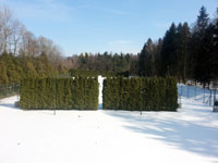 Pohled na arel v zim